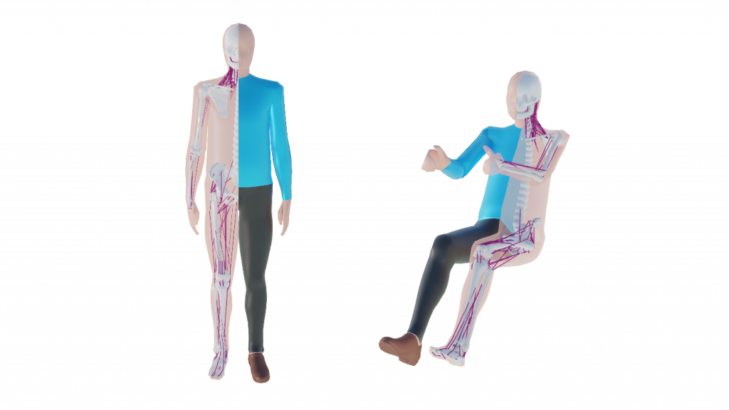 Figure 4: The Active Human Model can maintain its posture during a crash event, more accurately reflecting the behavior of real people.