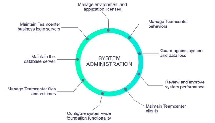 system administrator